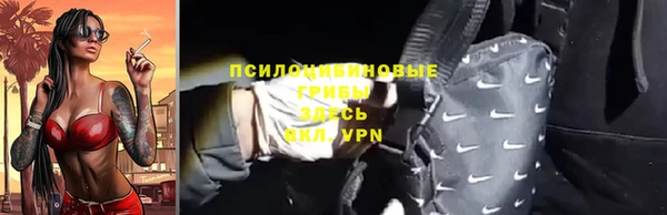 сатива Балахна