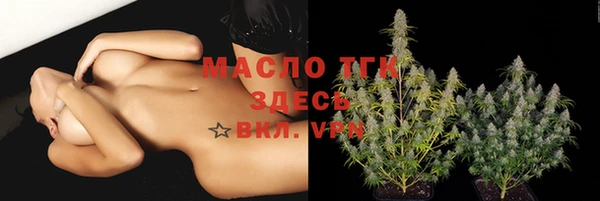 сатива Балахна