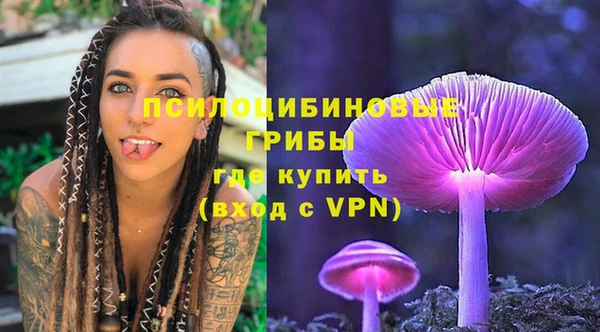 сатива Балахна