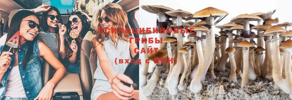 сатива Балахна