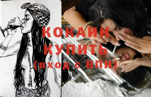 сатива Балахна