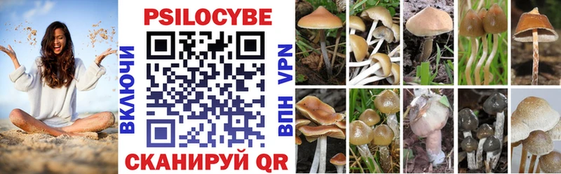 Псилоцибиновые грибы прущие грибы  Мыски 